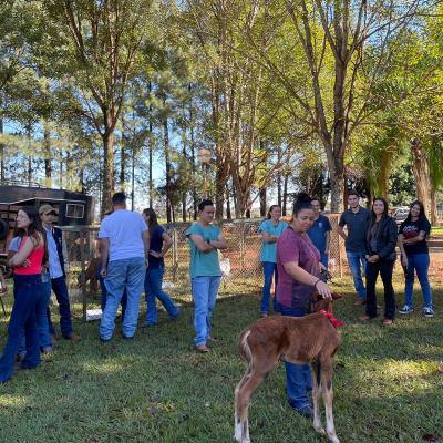 E5ad943f 4161 4163 977b 82a615751a4c